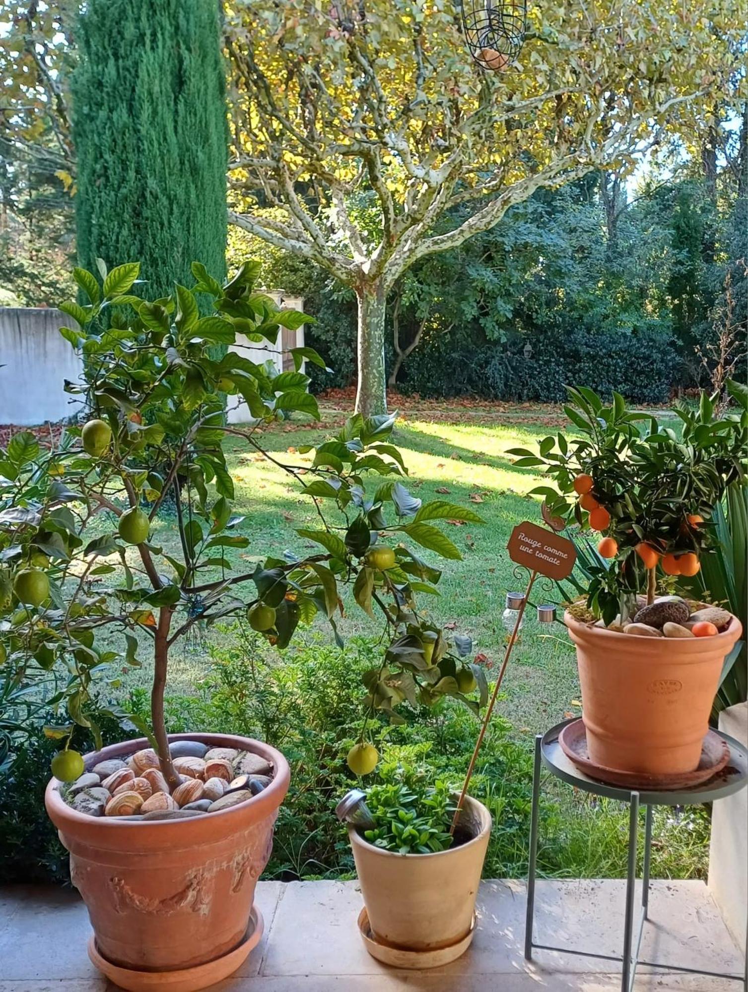 La Goutadou Bed & Breakfast Cabannes Bagian luar foto